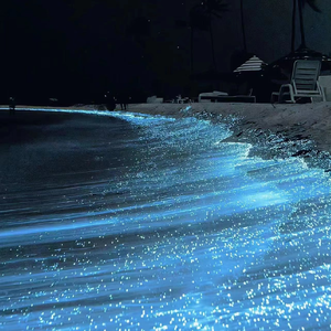 鸡巴玩的免费视
